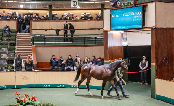 This Frankel colt from Loch Lein topped the sale - image Goffs