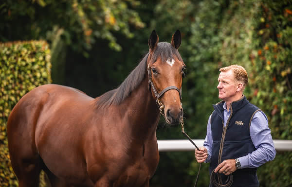 750,000 euro  Frankel colt from Tisa River