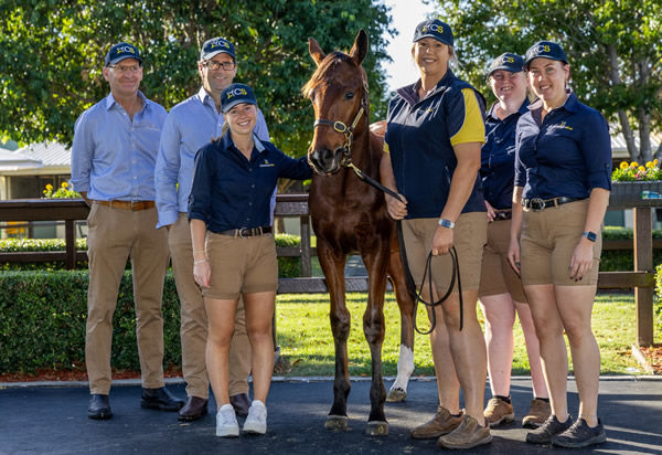 Cornerstone Stud team celebrate with their sale-topping $925,000 colt by Frankel.