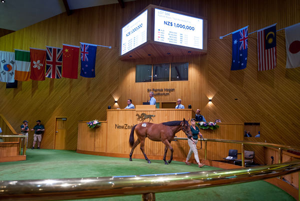 $1million sale-topping Fastnet Rock filly from Test the World.