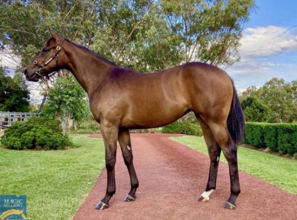 Froebel Star was a $320,000 Magic Millions purchase.
