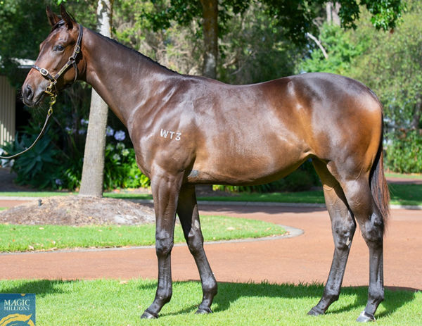 Lot 156 - Smart Missile filly from Haste.