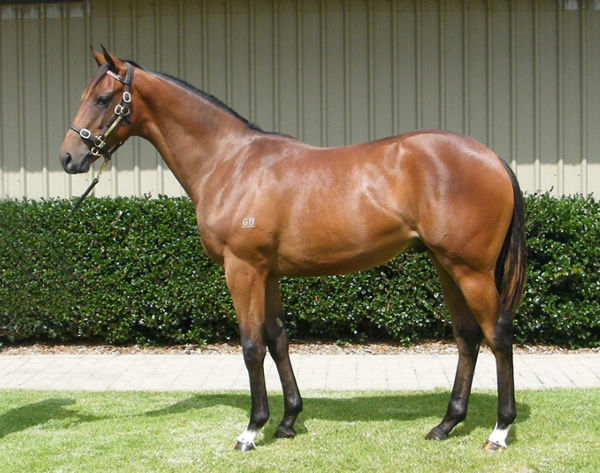 Furore as a yearling