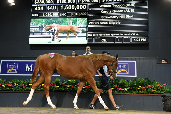 $1.5 million Written Tycoon filly sold by Strawberry Hill stud