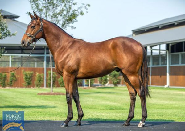 Garmish as a yearling.