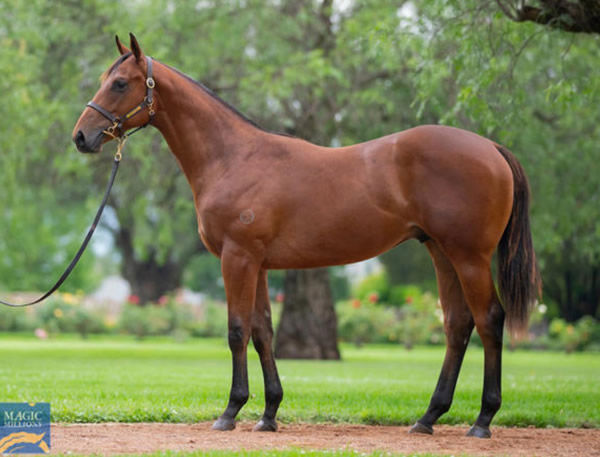 Garza Blanca was a $700,000 Magic Millions purchase.