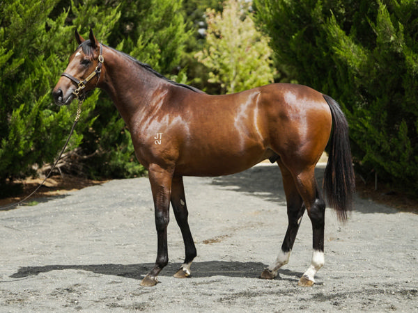 As a yearling.