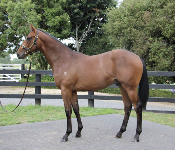 $625,000 Ghaiyyath (IRE) colt from Ber En Dal.