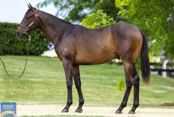 Give Me Space was a $75,000 Magic Millions purchase from Newgate.