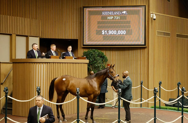 $1.9million Gun Runner colt from Ginja topped the session.