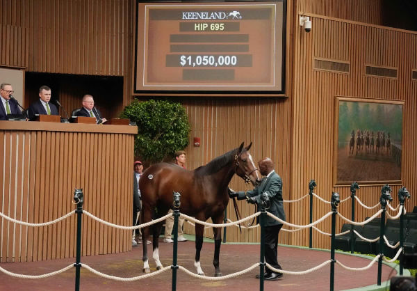 Gun Runner filly from Always Carina sold for $1.05million.