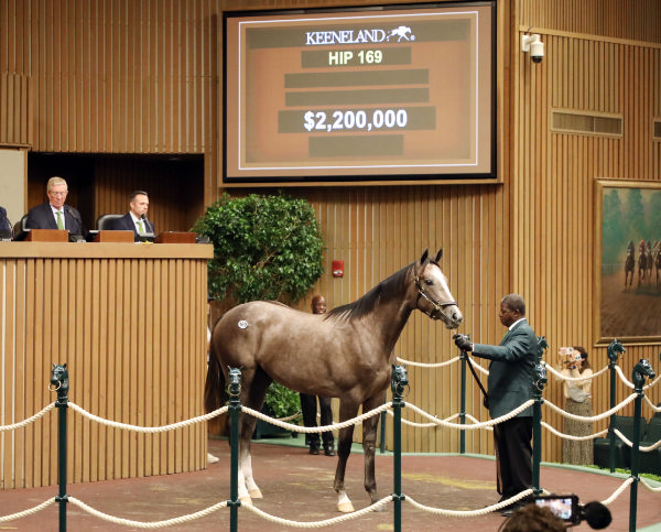 Top lot on Day 1 - image Keeneland