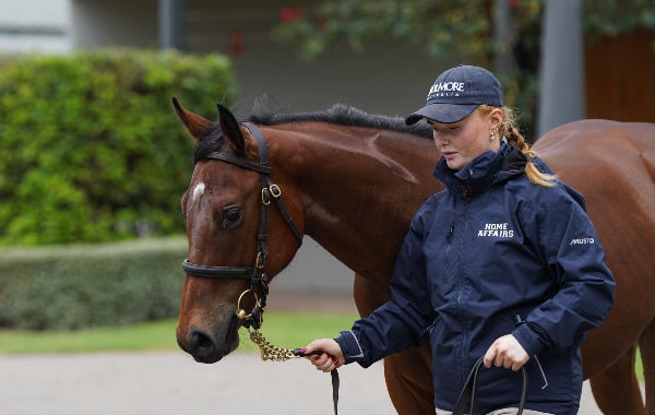 She's the standout among many stars in the 2025 MM Coolmore draft.