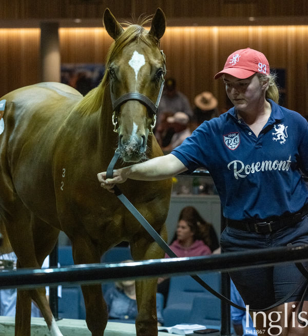 $160,000 Hanseatic colt from Knowles topped the Showcase Session.