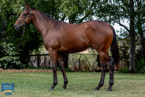 Heroic Deed was a $120,000 MM Adelaide purchase.