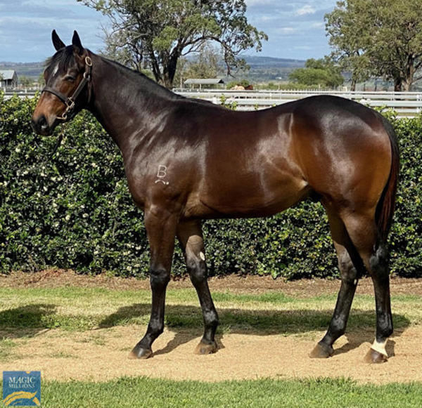 Heroic son was a $50,000 Magic Millions purchase.