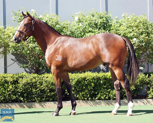 Hit Song as a yearling.