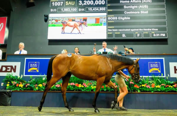 $3.2million Home Affairs filly from Sunlight