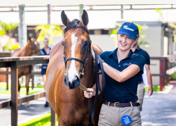 $1.25million I Am Invincible filly from Qafila - image MM