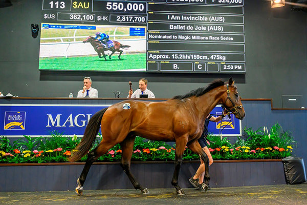 The I Am Invincible x Ballet de Joie colt sold for $550,000.