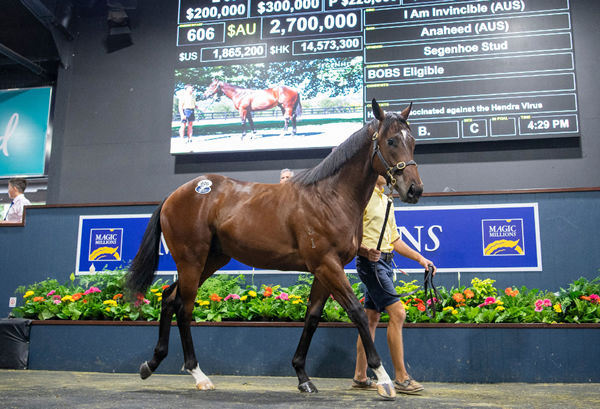 $2.7million I Am Invincible colt from Anaheed