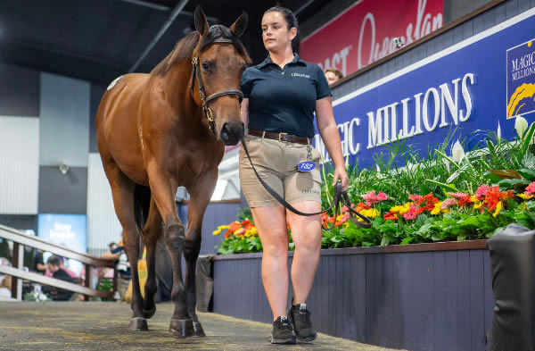 $1.6million I Am Invincible filly from Avantage.