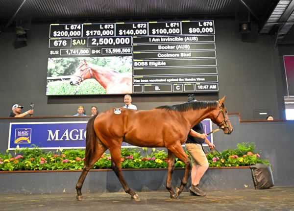 $2.5 million I Am Invincible colt from Booker 