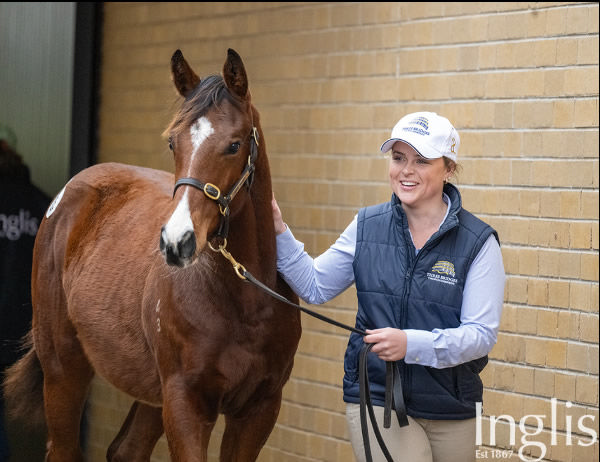 $300,000 I Am invincible colt from Diablotine (IRE).