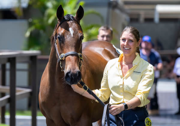 $2.3million I Am Invincible filly from Eloping.