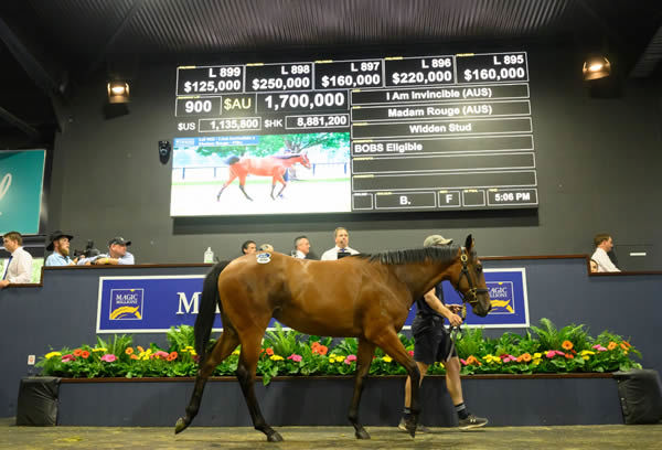 Most expensive two year-old on show will be Rosie Rouge.