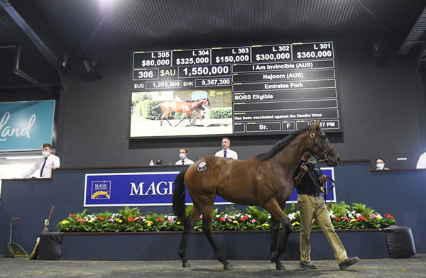 I Am Invincible filly from Najoom sold by Emirates Park.