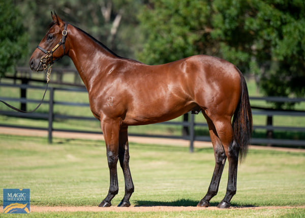 $625,000 I Am Invincible colt from Nomothaj.