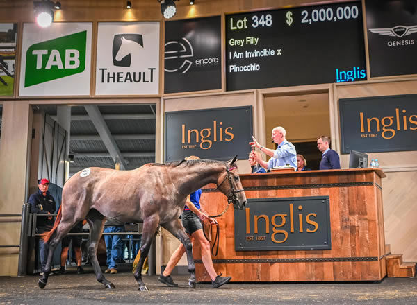 $2million I Am Invincible filly from Pinocchio