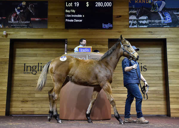 $280,000 I Am Invincible filly from Private Dancer.