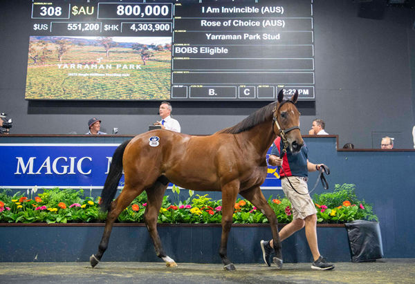 Bred on the same cross as G1 VRC Coolmore Stud Stakes winner In Secret.