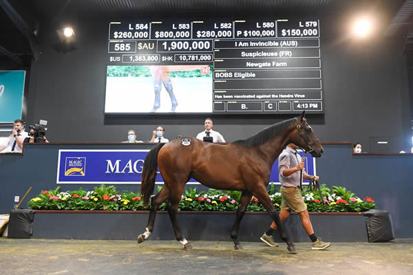 Sale-topper as of Thursday - $1.9million I Am Invincible colt sold by Newgate Farm.
