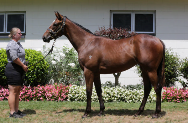 Intention was a $65,000 K1 purchase from Wentwood Grange.