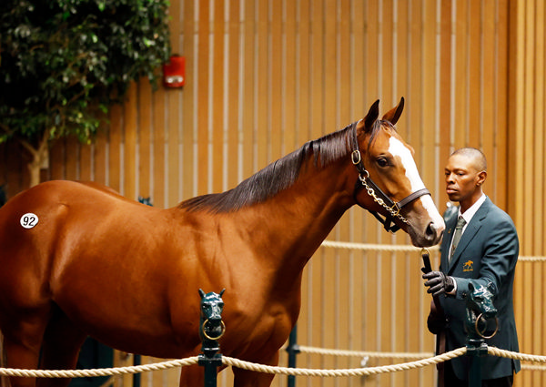 $2.3million Into Mischief filly from Delightful Joy.