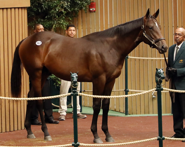 $1.7million Into Mischief colt from I'll Take Charge