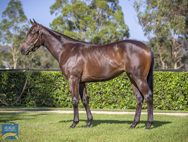 Jimmy Recard Was A $350,000 Purchase From Yarraman Park's Magic Millions Draft