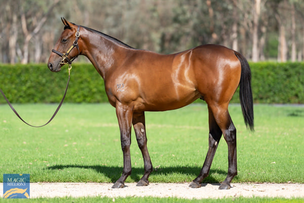 Johnny was a $150,000 Magic Millions purchase.