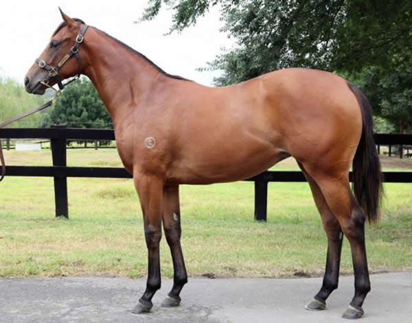 Joviality as a yearling