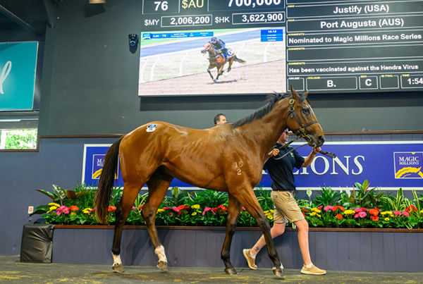 $700,000 Justify (USA) colt from Port Augusta