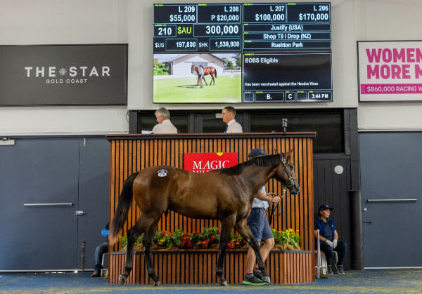 $300,000 Justify (USA) colt provides a great result - image MM  