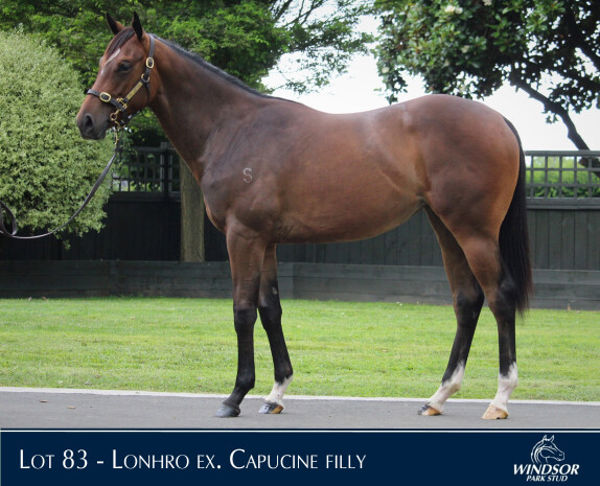 Lot 83 - a filly and second foal of a three-quarter sister to So You Think.