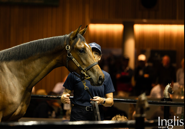 $625,000 Kermadec filly from Turaath (GB).