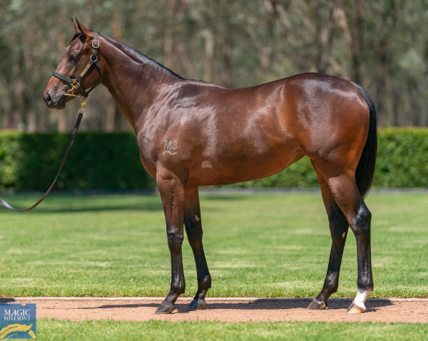 Khaznah was a $360,000 MM purchase from Kia Ora Stud.