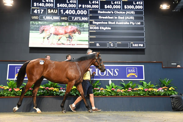 King's Legacy was a sale ring star and then a race track star fetching $1.4million at Magic Millions when bought by renowned judge James Harron.