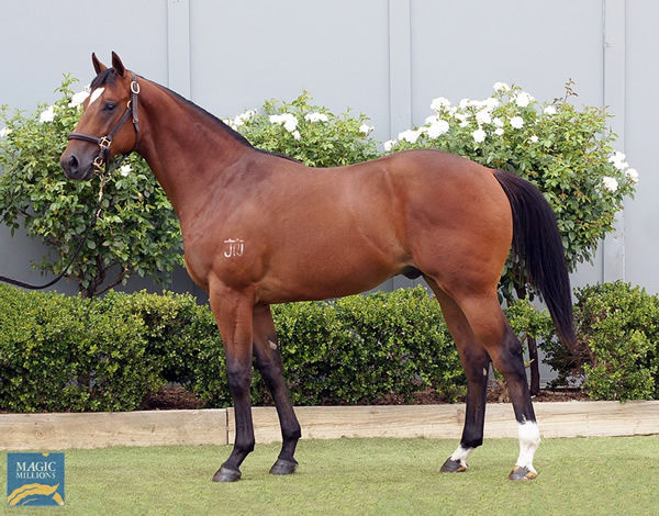 Lot 1 - click to watch parade.