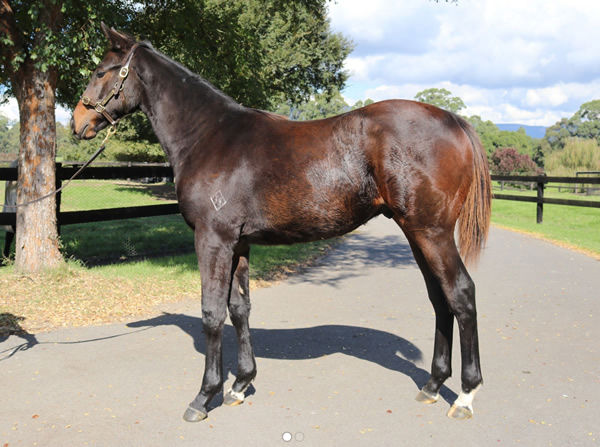 Lot 124 - click to see his page.